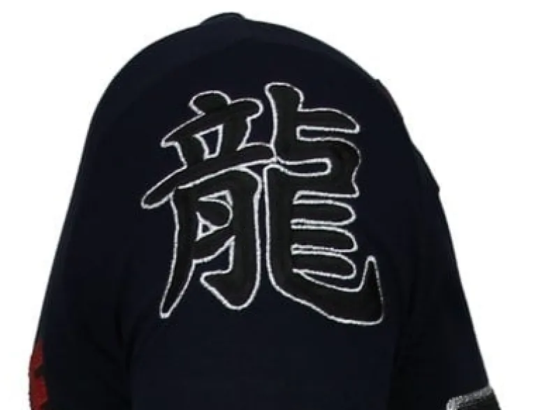 T-shirt Heren - Fighter Legend - Blauw